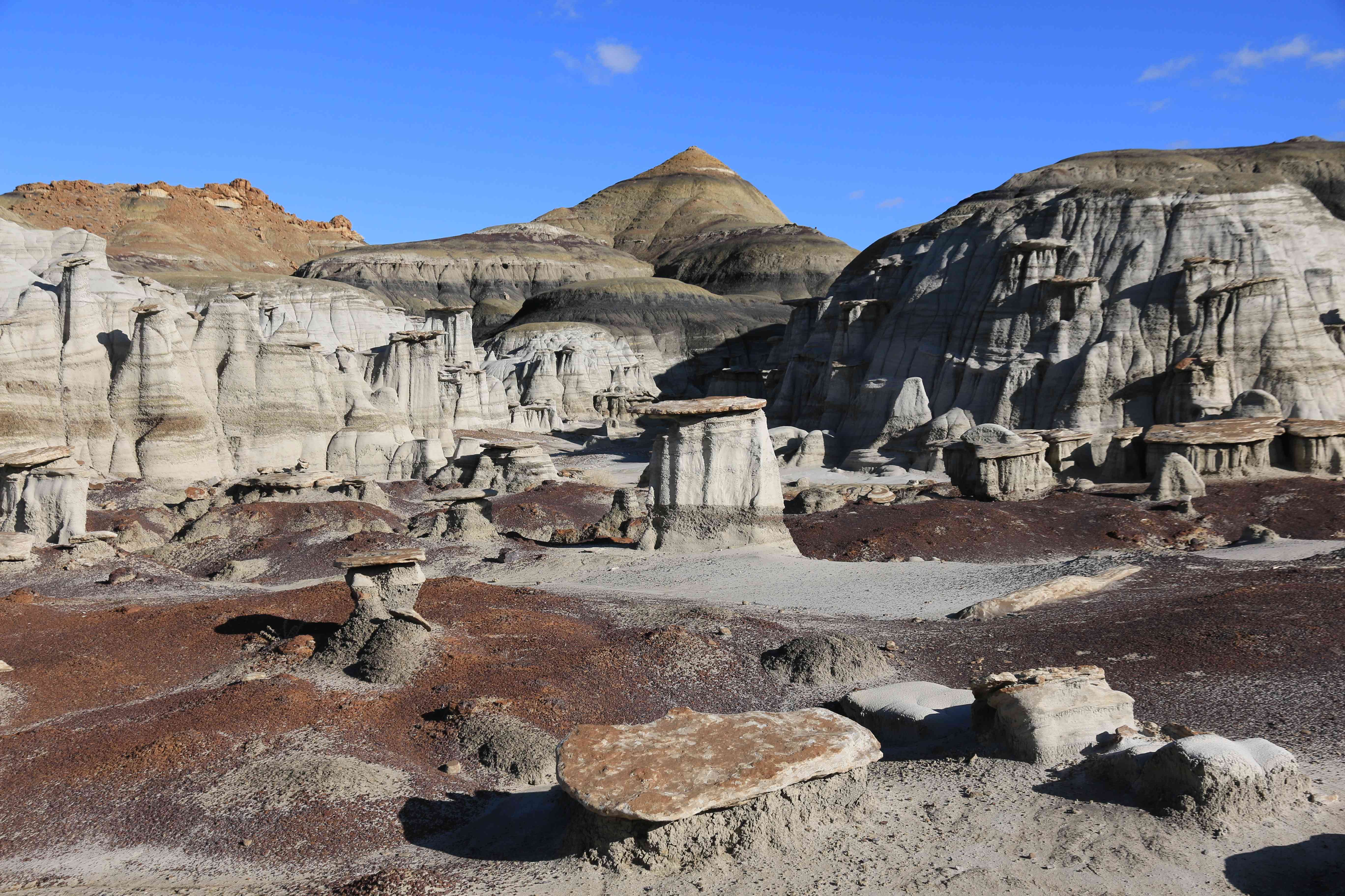 Bisti Badlands